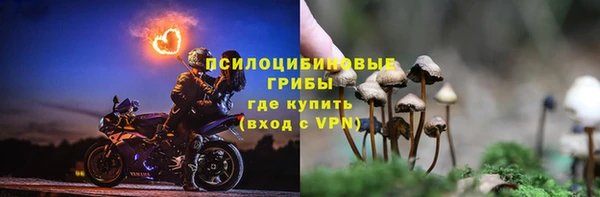 дурь Белокуриха