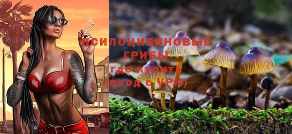 дурь Белокуриха
