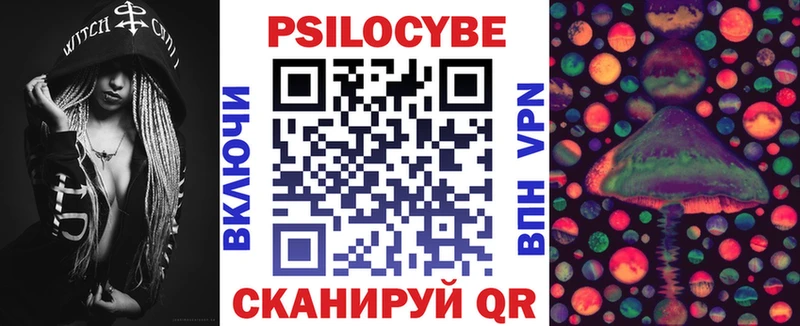 закладка Отрадная Галлюциногенные грибы Psilocybe
